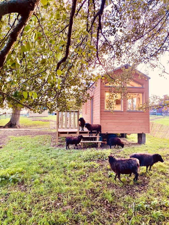 Jolie Tiny House Sous Les Grands Arbres Villa Cholet Exterior foto