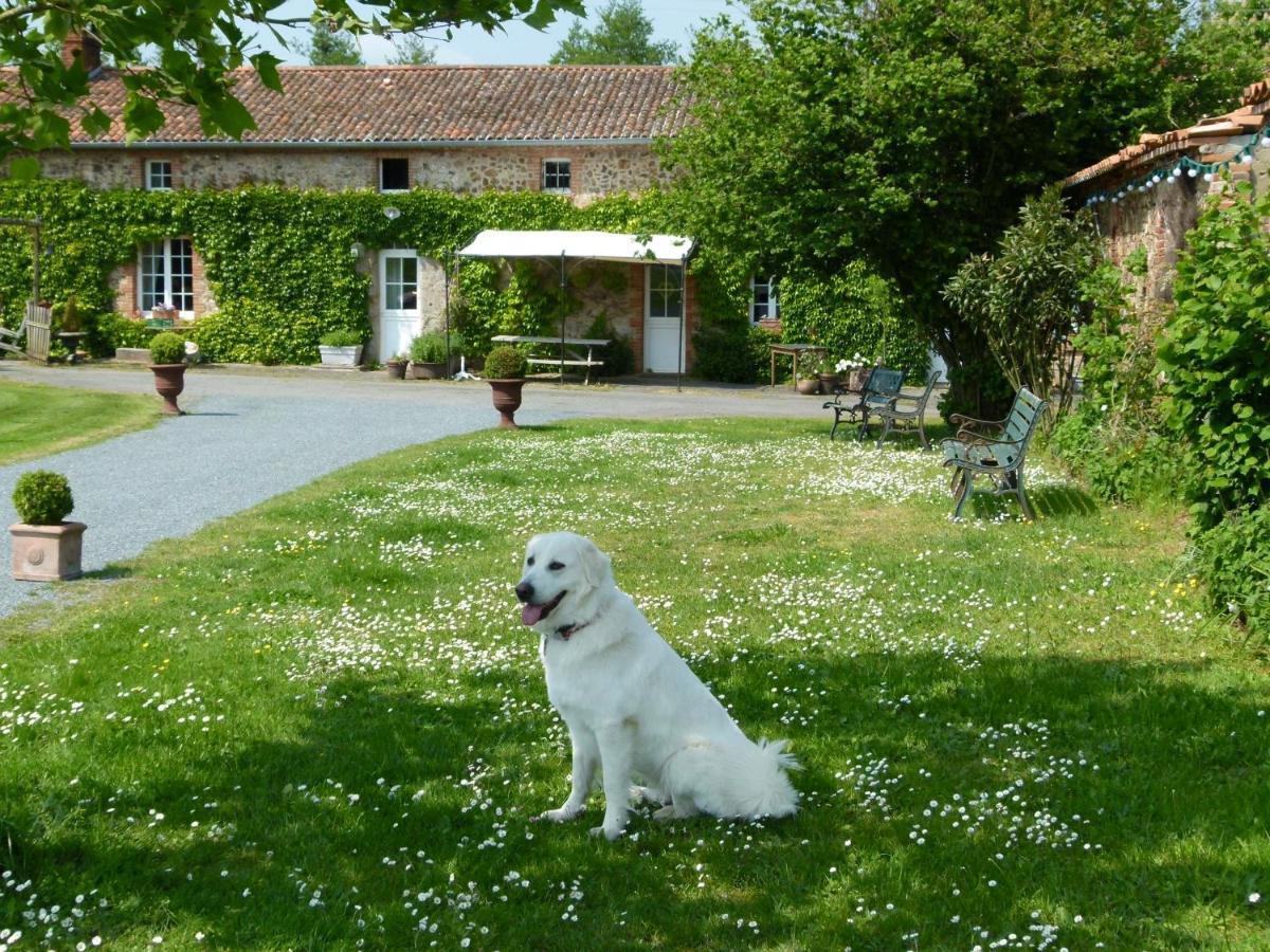 Jolie Tiny House Sous Les Grands Arbres Villa Cholet Exterior foto