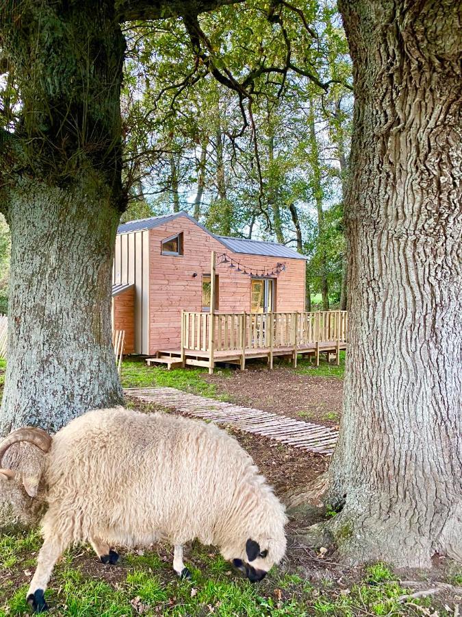 Jolie Tiny House Sous Les Grands Arbres Villa Cholet Exterior foto