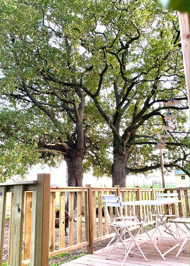 Jolie Tiny House Sous Les Grands Arbres Villa Cholet Exterior foto